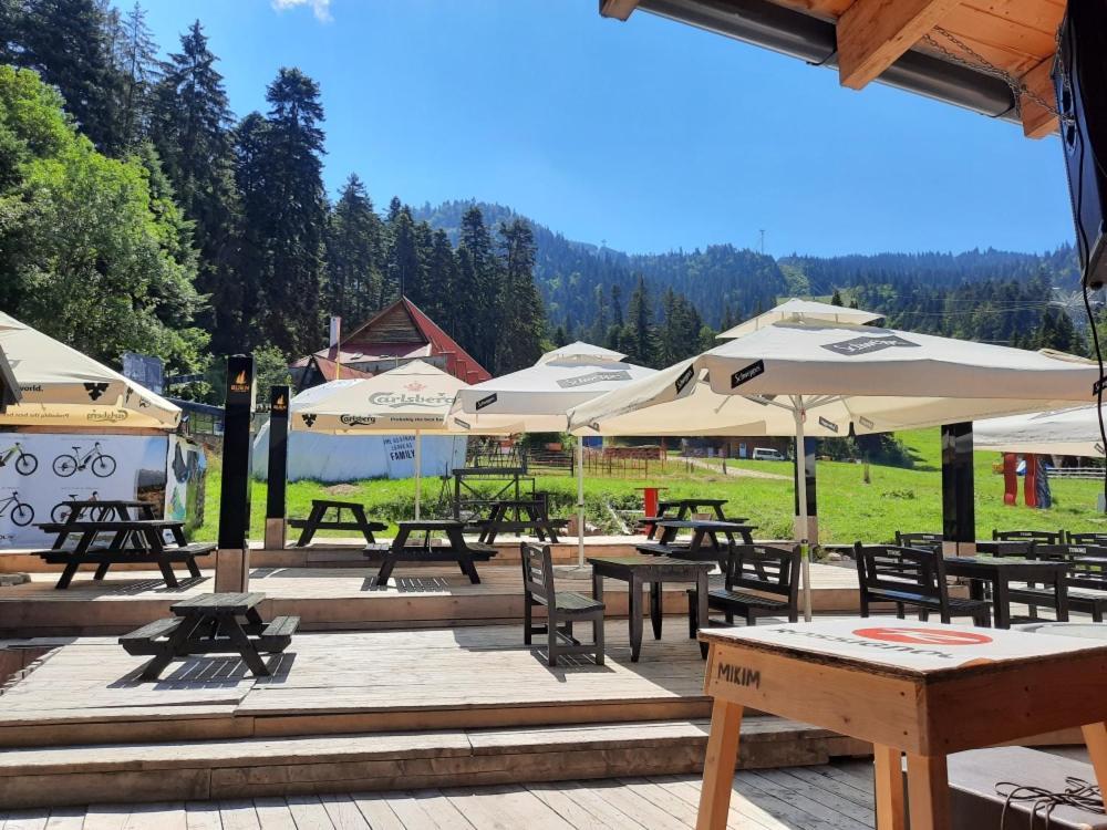 Отель Club Rossignol Пояна-Брашов Экстерьер фото